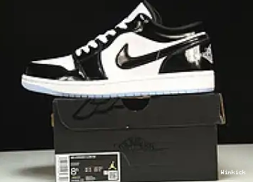 DV1309-100 Jordan Low Concord 1 SE 0419